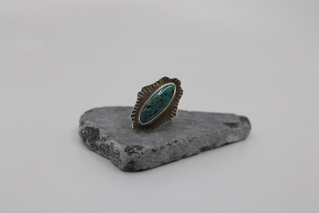 Coached Creation - 6 weeks April-May